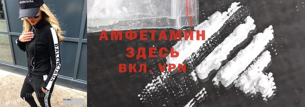 ешки Арсеньев