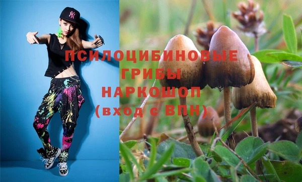 сатива Алексин