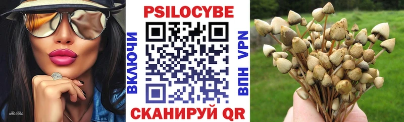 Псилоцибиновые грибы прущие грибы  kraken ONION  Грязовец 
